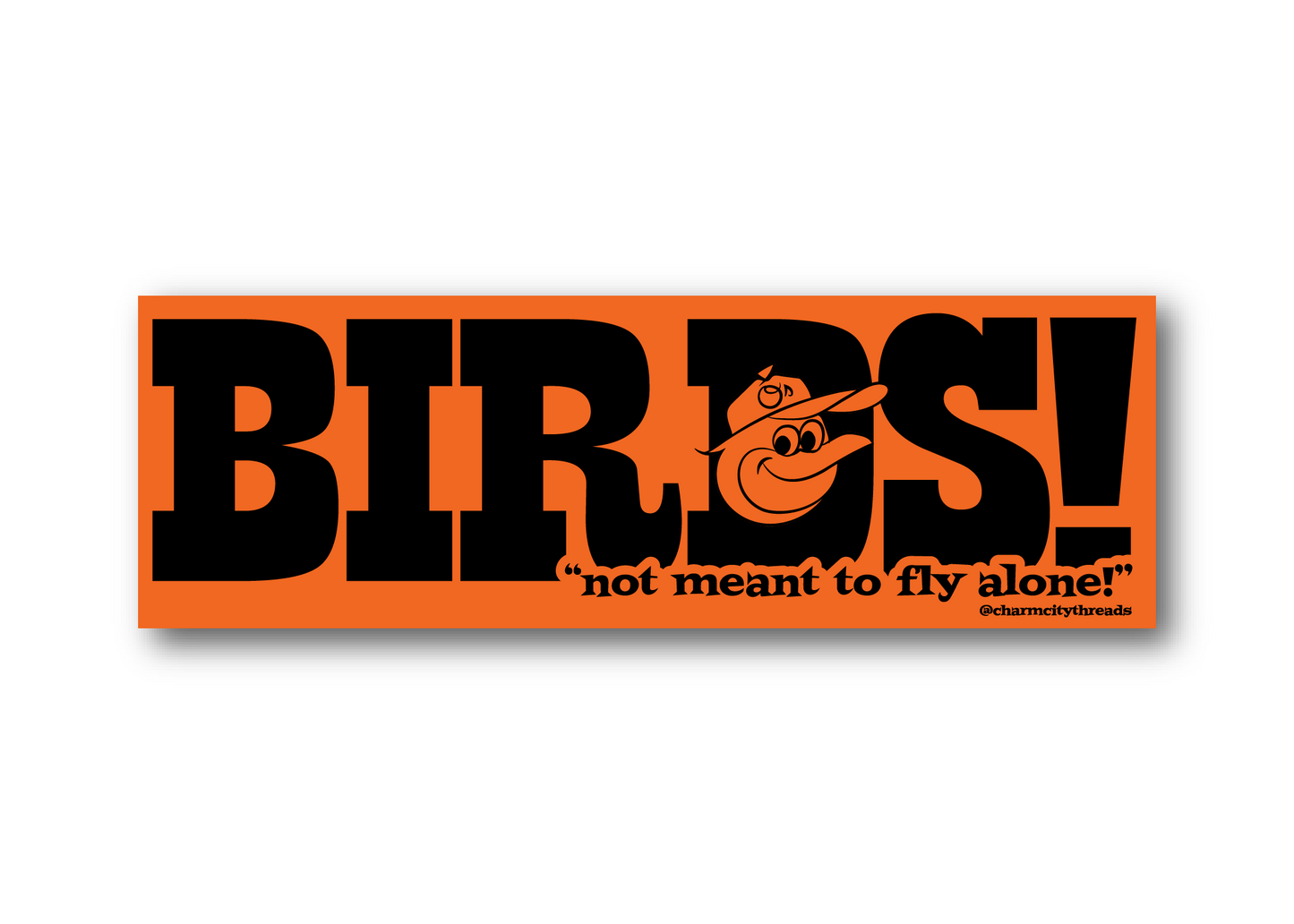 BIRDS! "Not Meant to Fly Alone" Turnstile inspired sticker