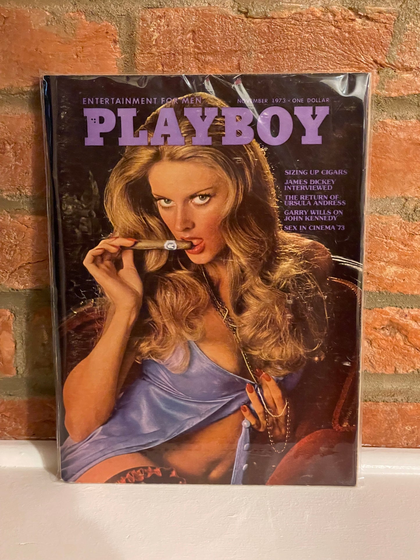 November 1973 - Playboy Magazine